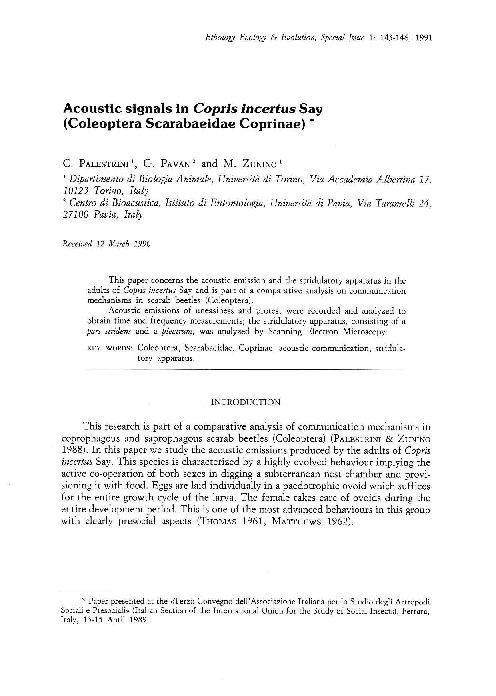 (PDF) Acoustic signals in Copris incertus Say (Coleoptera Scarabaeidae ...