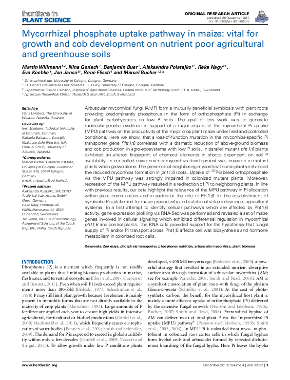 (PDF) Mycorrhizal phosphate uptake pathway in maize: vital for growth ...