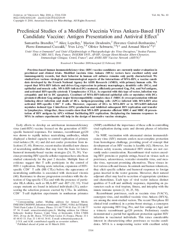 (PDF) Preclinical Studies of a Modified Vaccinia Virus Ankara-Based HIV ...