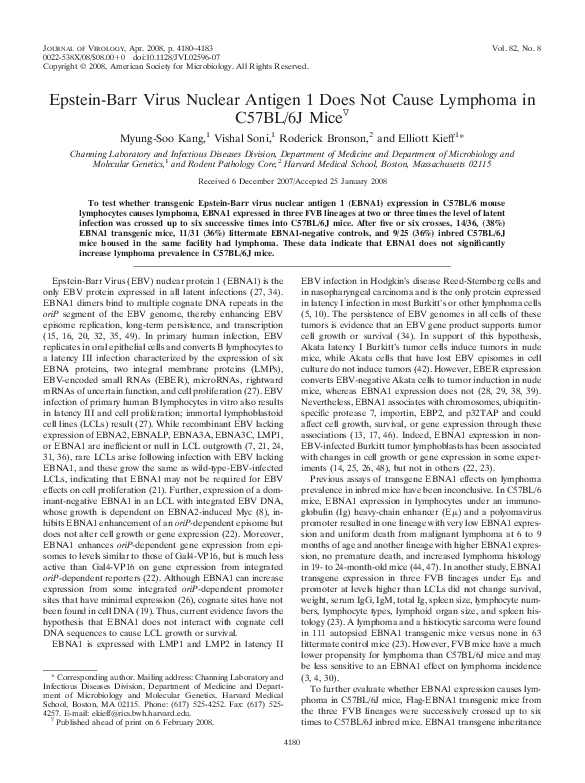 (PDF) Epstein-Barr Virus Nuclear Antigen 1 Does Not Cause Lymphoma in ...