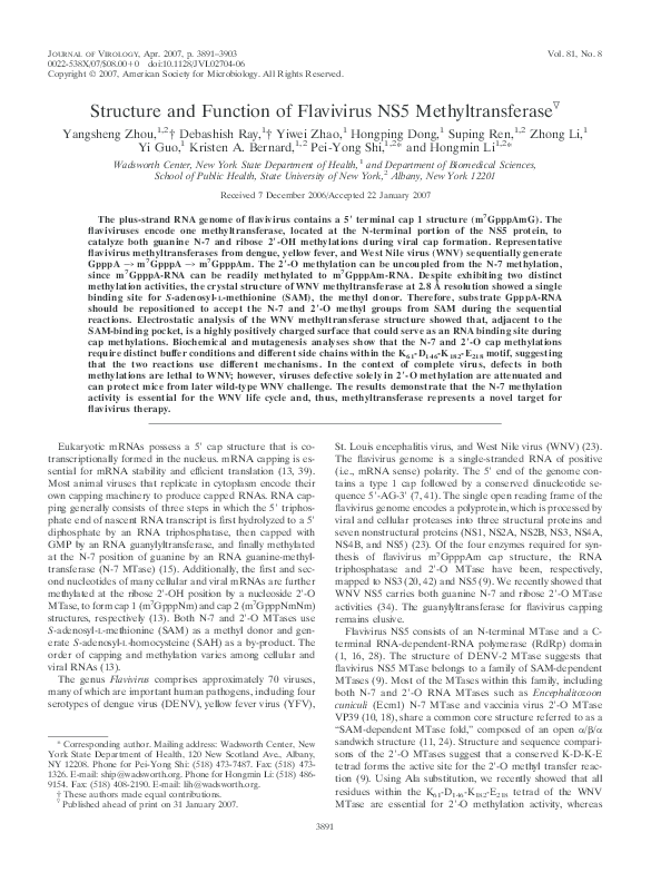 (PDF) Structure and Function of Flavivirus NS5 Methyltransferase
