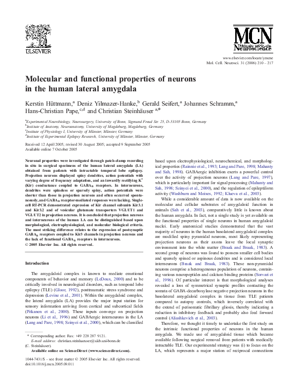 (PDF) Molecular and functional properties of neurons in the human ...