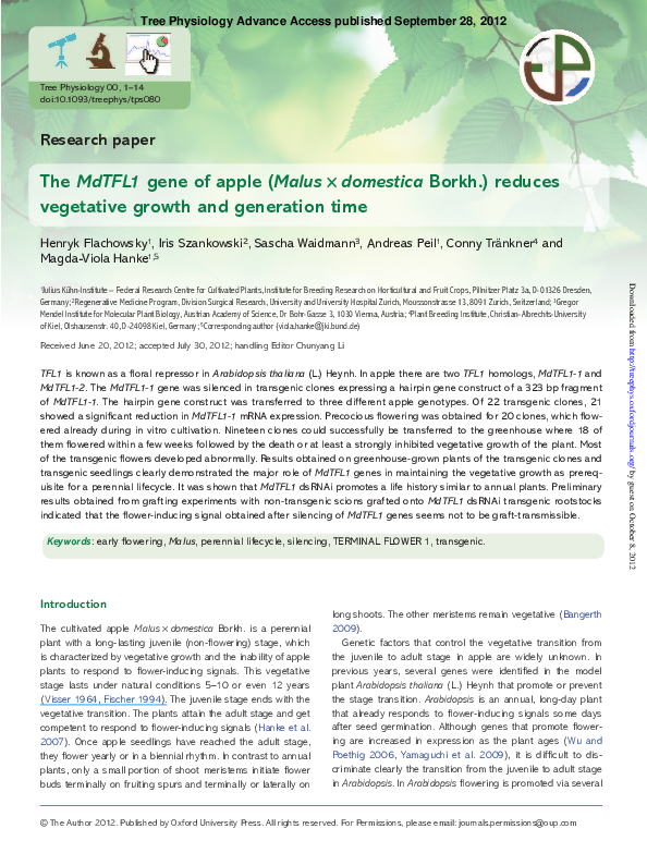 (PDF) The MdTFL1 gene of apple (Malus x domestica Borkh.) reduces ...