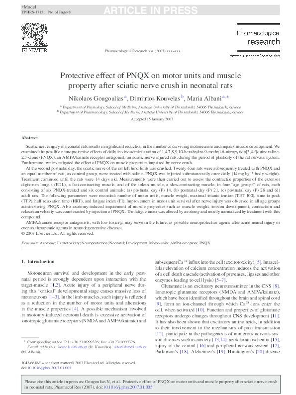 Differential diagnosis of sciatica image