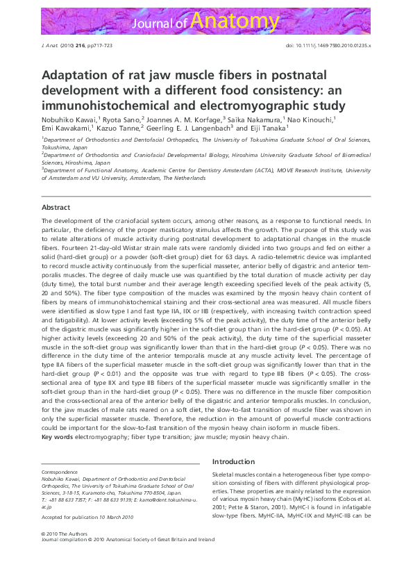 (PDF) Adaptation of rat jaw muscle fibers in postnatal development with ...