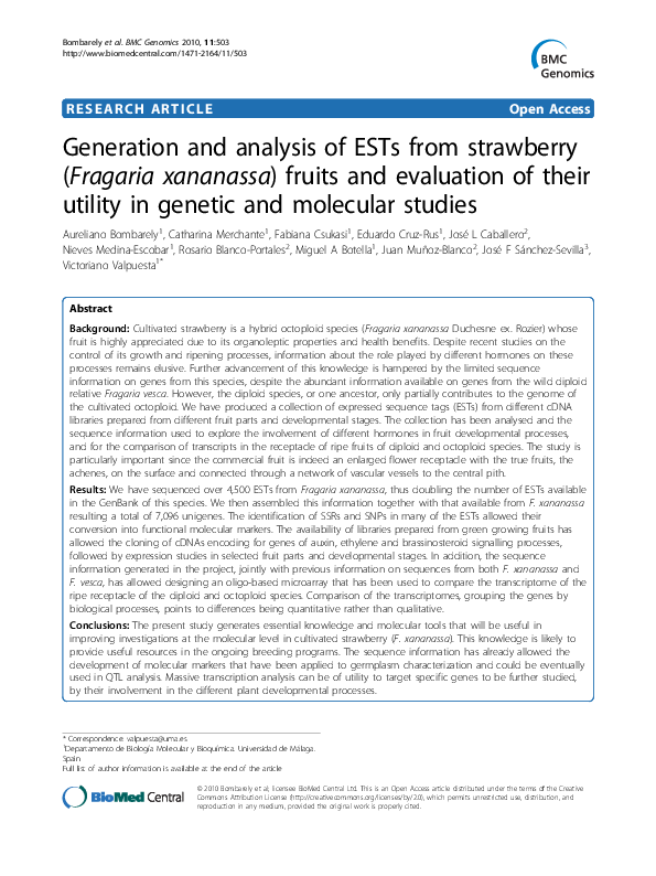 Strawberry generation in chinese image