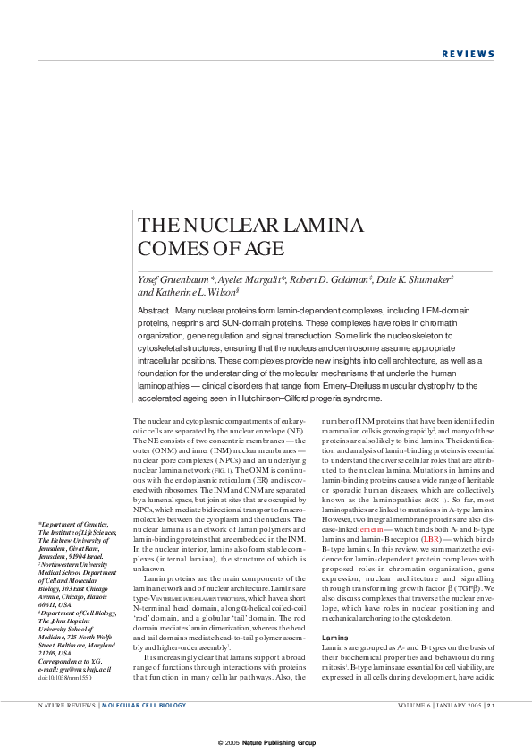 (PDF) The nuclear lamina comes of age