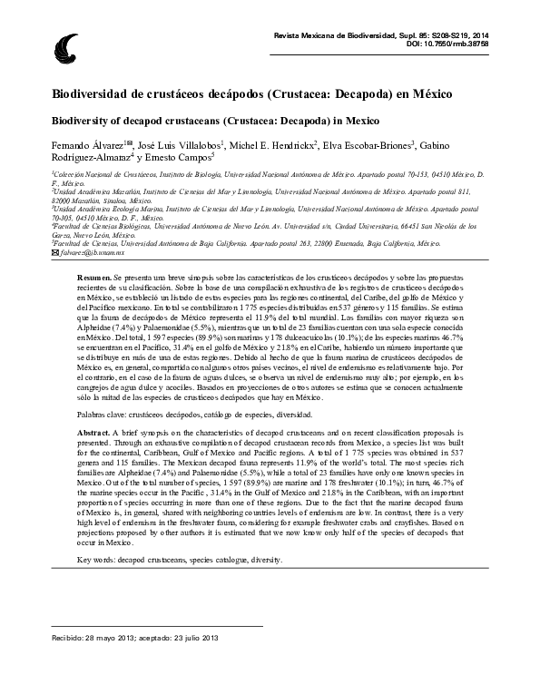 Decapoda essay image