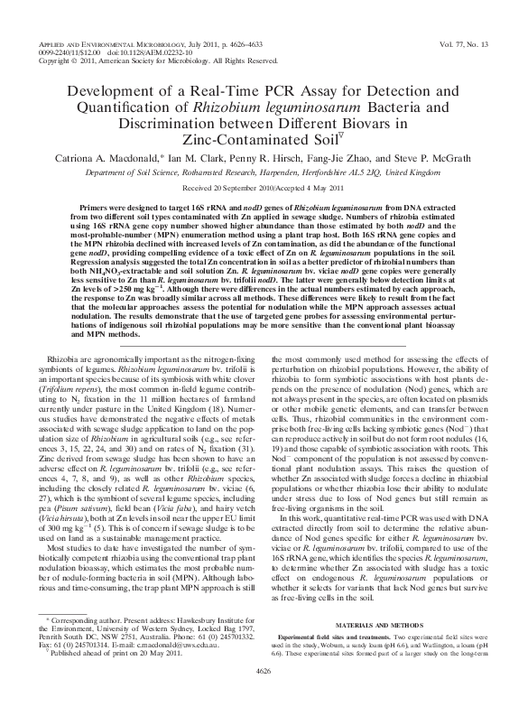 Is rhizobium prokaryotic or eukaryotic image