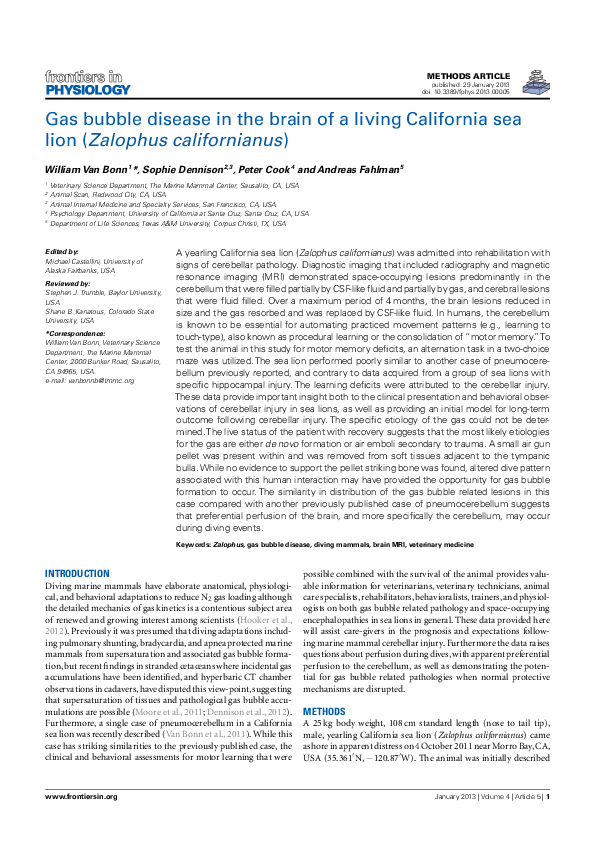 (PDF) Gas Bubble Disease in the Brain of a Living California Sea Lion