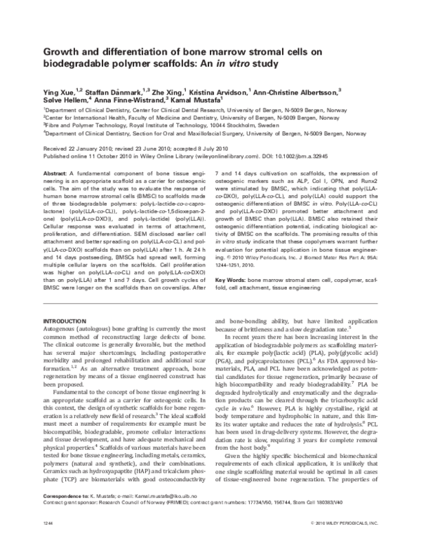 (PDF) Growth and differentiation of bone marrow stromal cells on ...