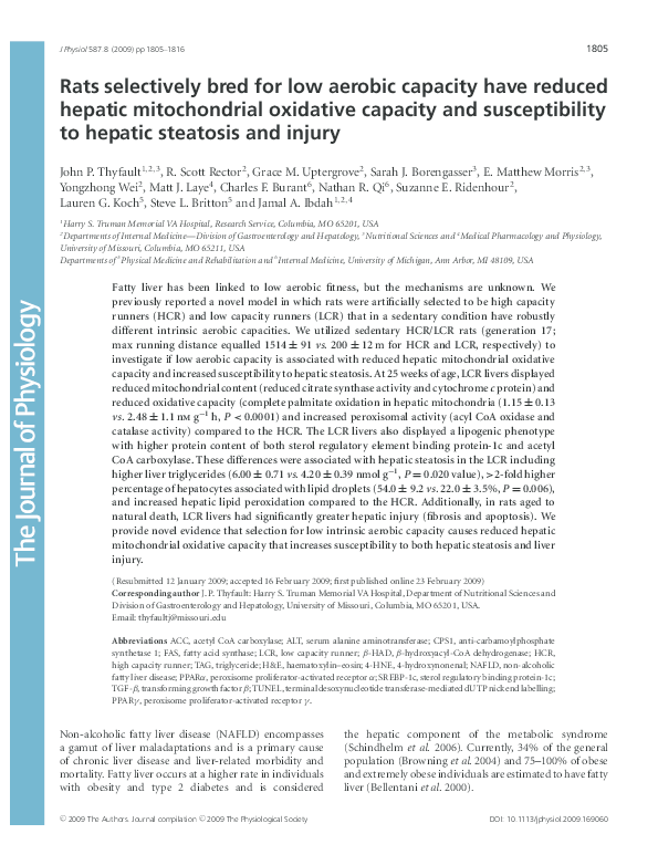 Aerobic exercise essay conclusion image