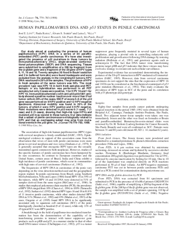 (PDF) Human papillomavirus DNA and p53 status in penile carcinomas