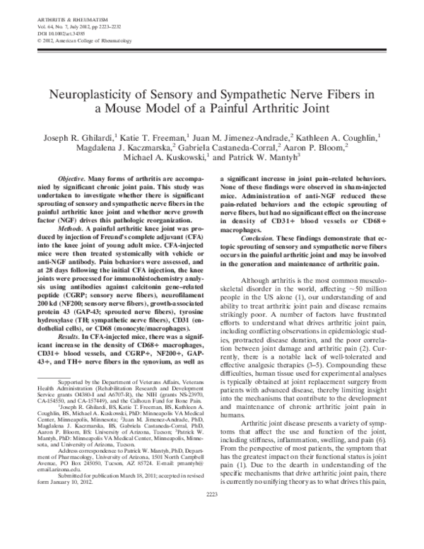 (PDF) Neuroplasticity of sensory and sympathetic nerve fibers in a ...