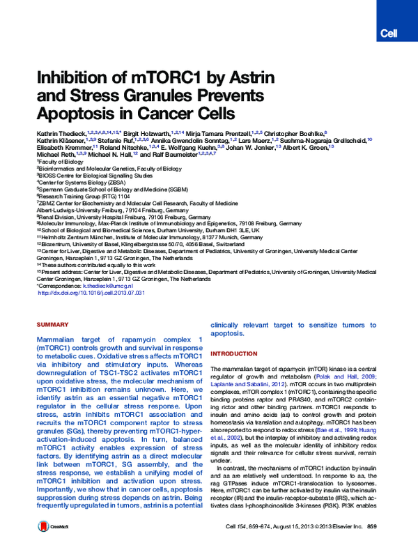 (PDF) Inhibition of mTORC1 by Astrin and Stress Granules Prevents ...