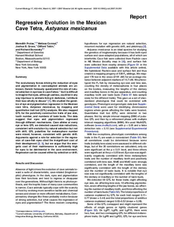 (PDF) Report Regressive Evolution in the Mexican Cave Tetra, Astyanax ...