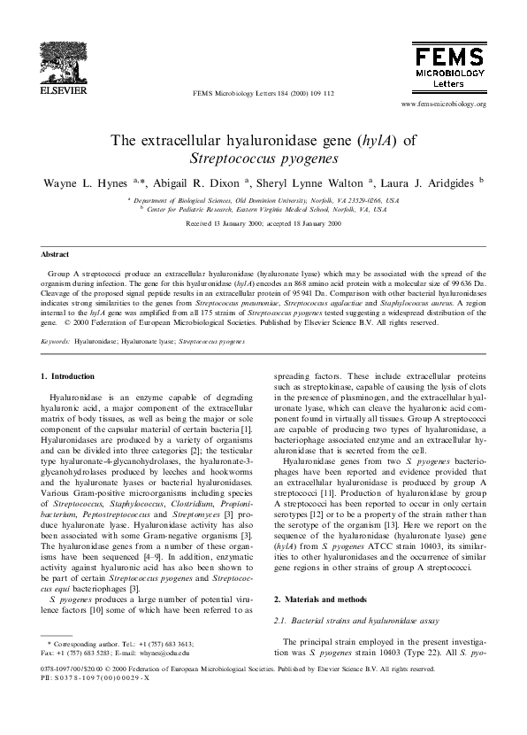 Streptococcus pyogenes essay 06 picture