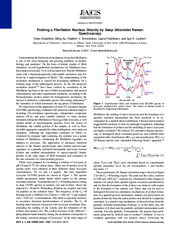(PDF) Probing a Fibrillation Nucleus Directly by Deep Ultraviolet Raman ...