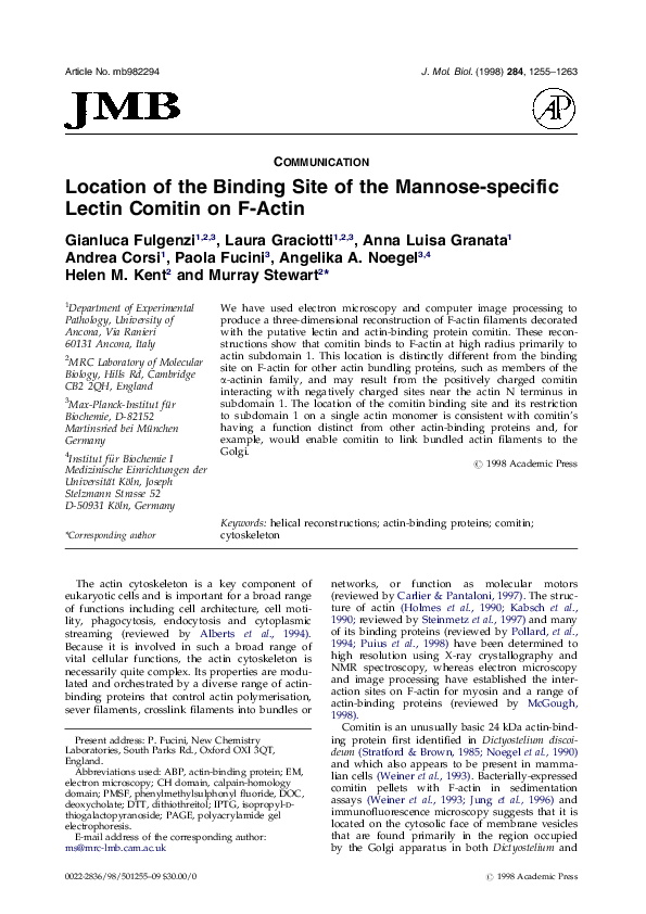(PDF) Location of the binding site of the mannose-specific lectin ...