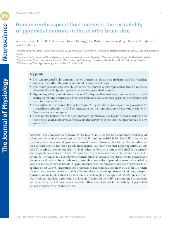 (PDF) Human cerebrospinal fluid increases the excitability of pyramidal ...