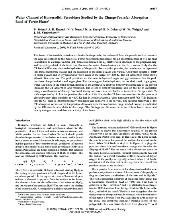 (PDF) Water Channel of Horseradish Peroxidase Studied by the Charge ...