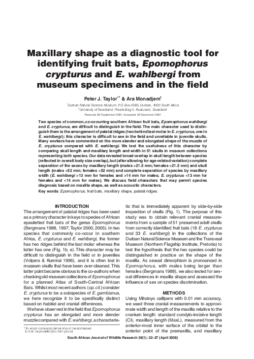 (PDF) Maxillary shape as a diagnostic tool for identifying fruit bats