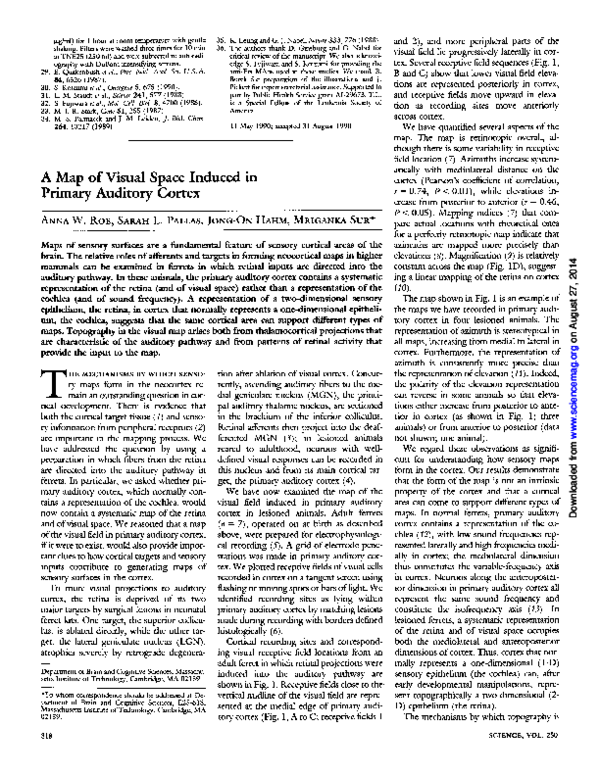 (PDF) A map of visual space induced in primary auditory cortex