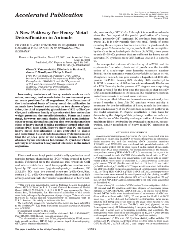 Detoxification ward essay 04 picture