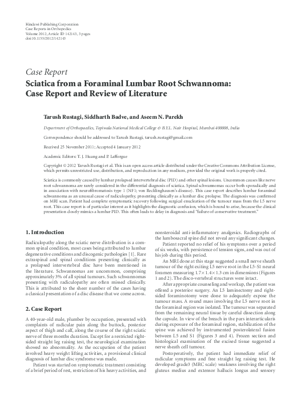 Rhizome theory in architecture picture