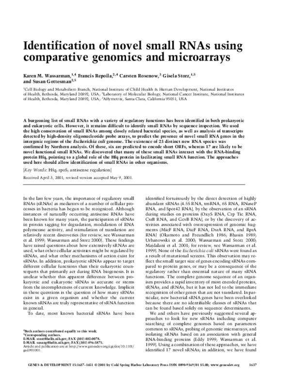 (PDF) Identification of novel small RNAs using comparative genomics and ...