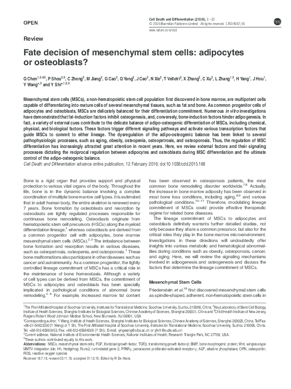 (PDF) Fate decision of mesenchymal stem cells: adipocytes or osteoblasts?