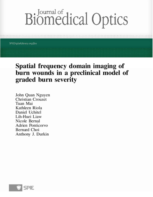 (PDF) Spatial frequency domain imaging of burn wounds in a preclinical ...