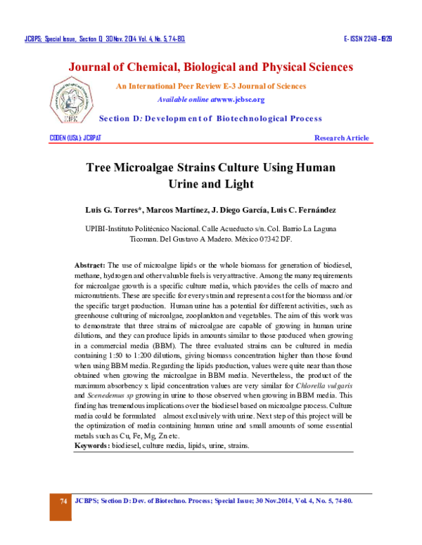 How does the urinary system work image
