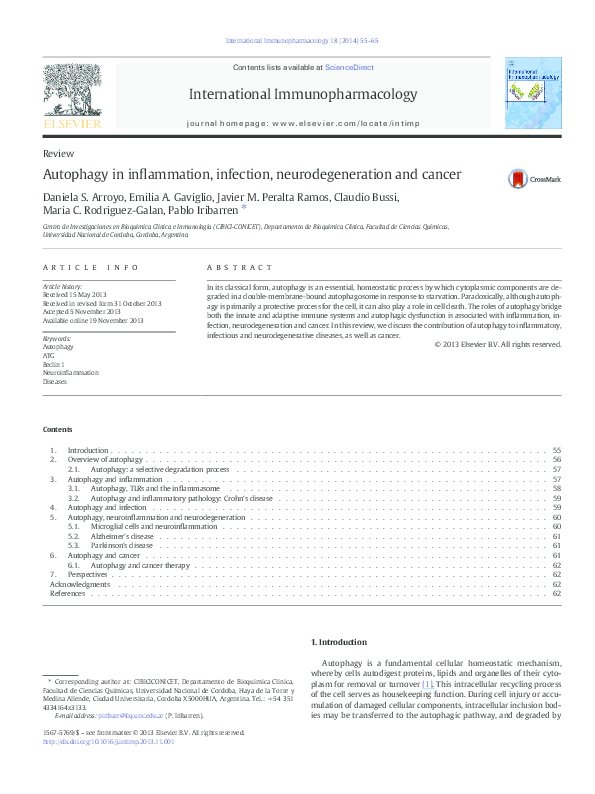 (PDF) Autophagy in inflammation, infection, neurodegeneration and cancer