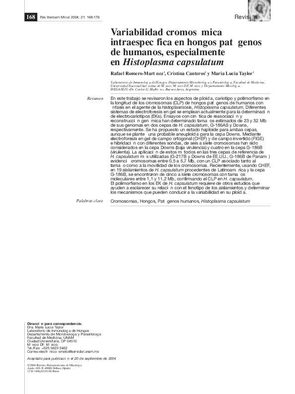 Hongos essay 07 image