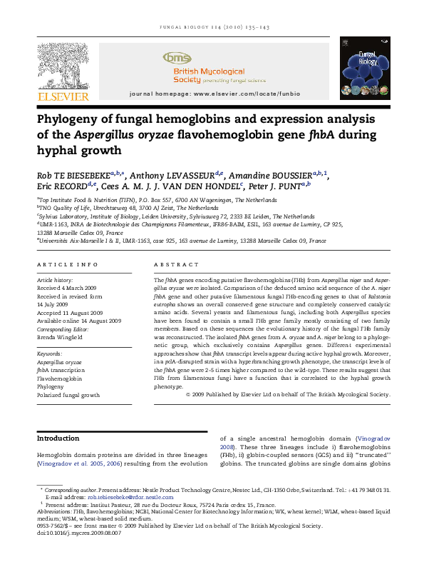 (PDF) Phylogeny of fungal hemoglobins and expression analysis of the ...