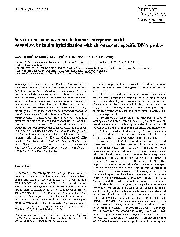 Chromosome probes essay 03 picture