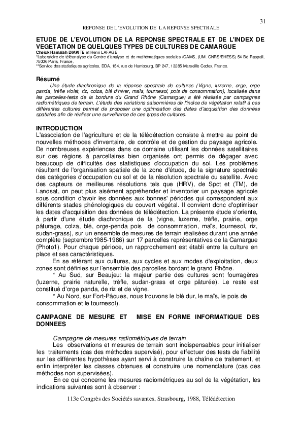 Camargue essay 06 image