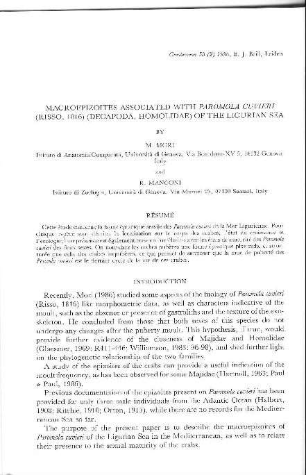File National Anthem Of Romania Page 2 Png Wikimedia Commons
