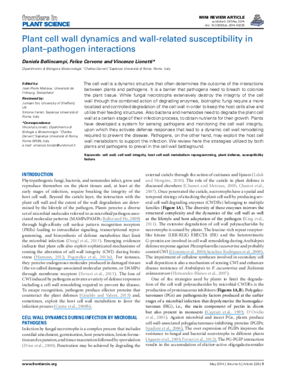 (PDF) Plant cell wall dynamics and wall-related susceptibility in ...