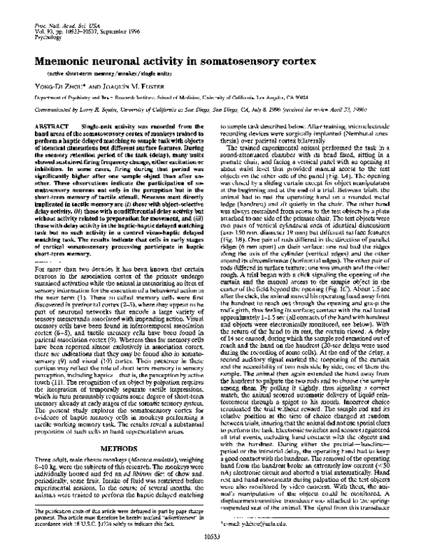 (PDF) Mnemonic neuronal activity in somatosensory cortex