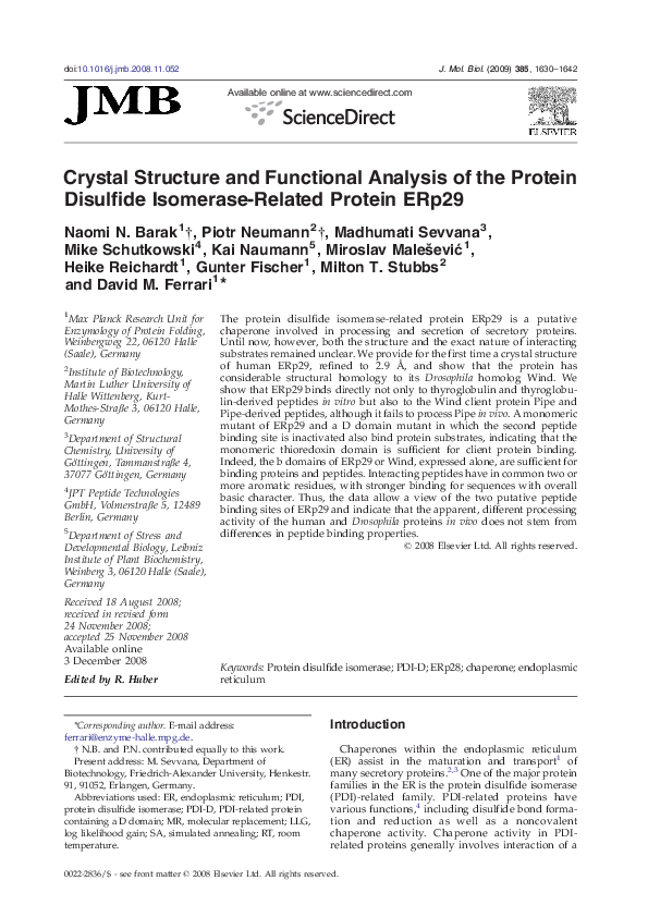 Crystal Structure and Functional Analysis of the Protein Disulfide Isomerase-Related Protein ERp29