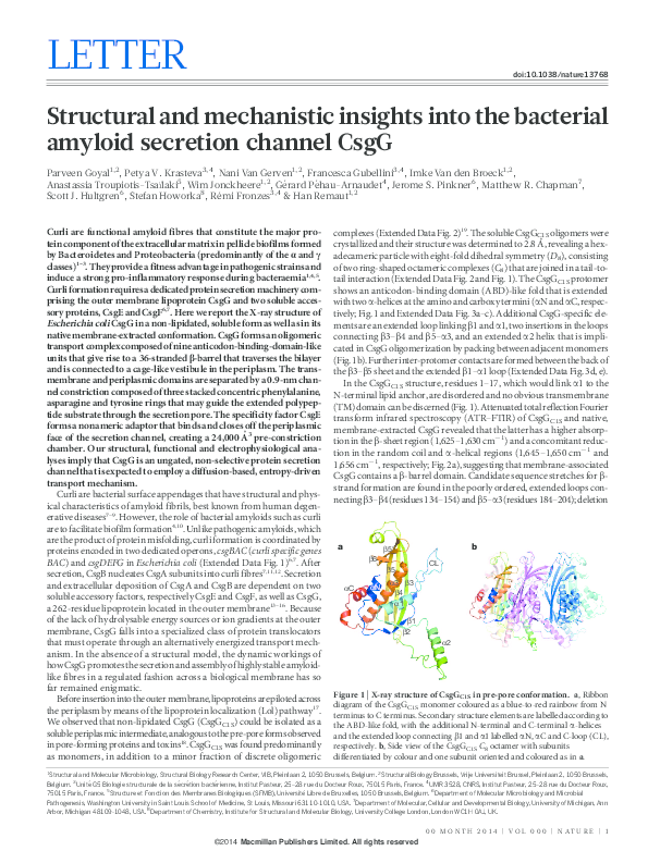 (PDF) Structural and mechanistic insights into the bacterial amyloid ...