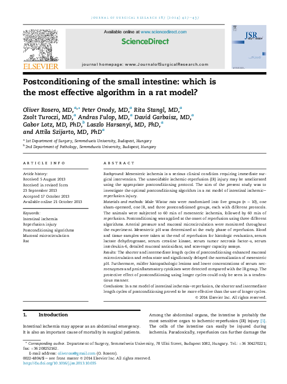 Small intestine problems picture