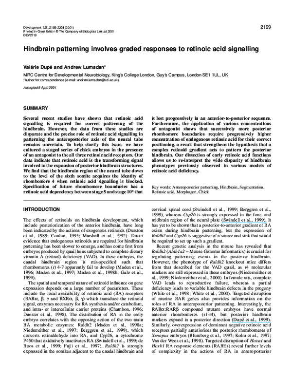 (PDF) Hindbrain patterning involves graded responses to retinoic acid ...