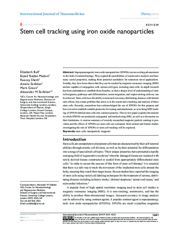 (PDF) Stem cell tracking using iron oxide nanoparticles