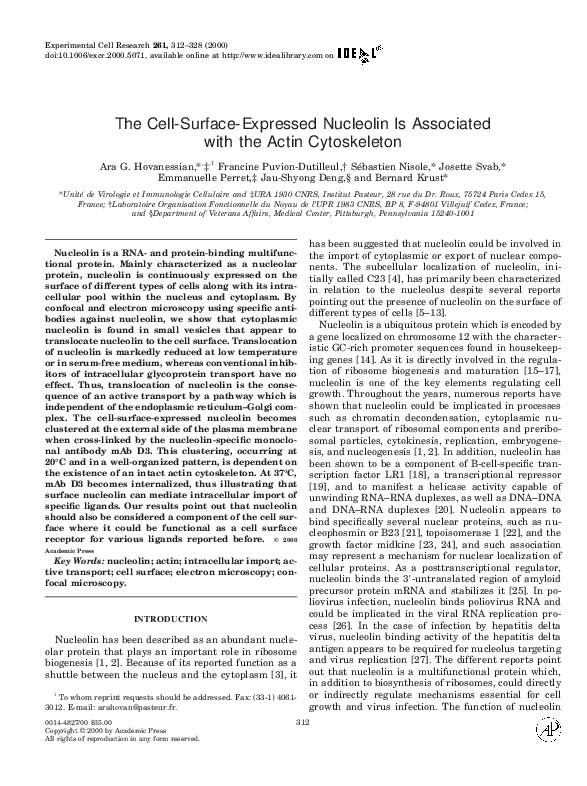 Cytoskeleton function picture