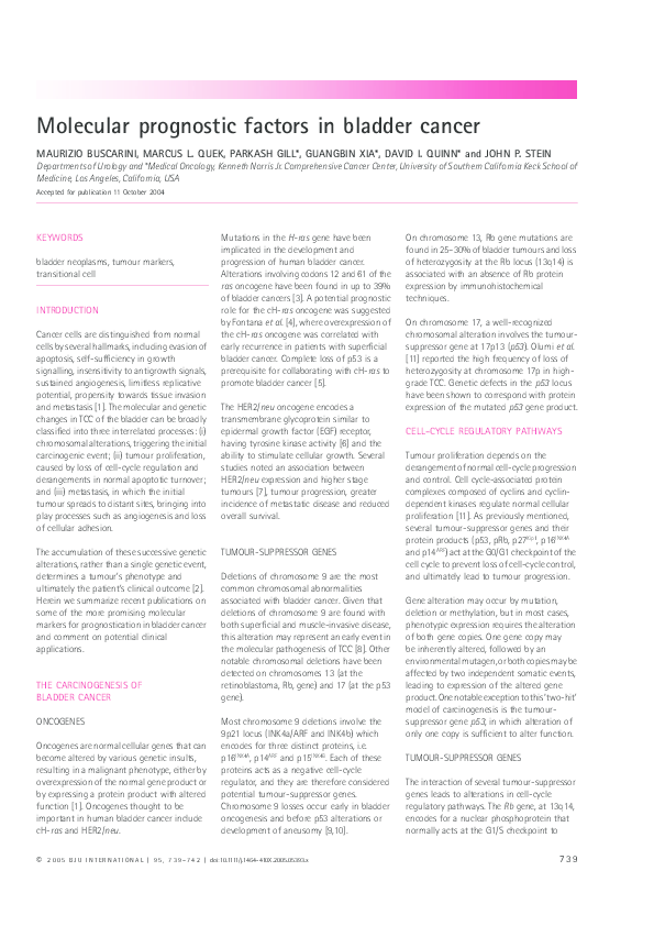 Bladder cancer essay image