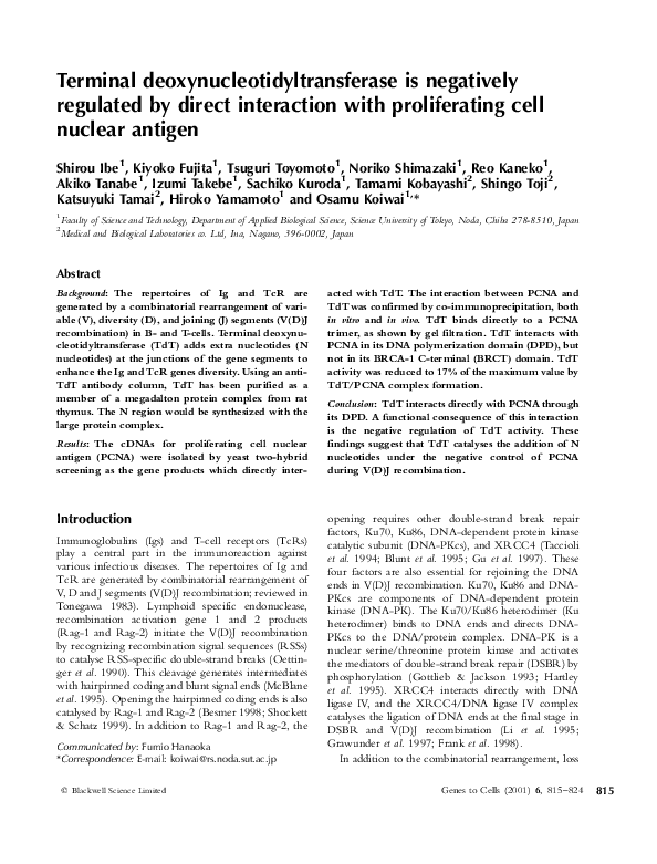 Essay on ibe1 06 picture