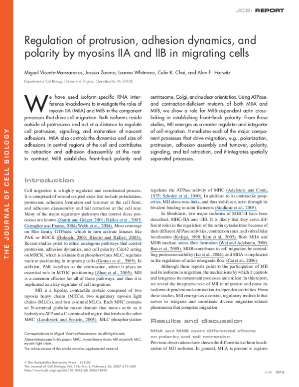 (PDF) Regulation of protrusion, adhesion dynamics, and polarity by ...